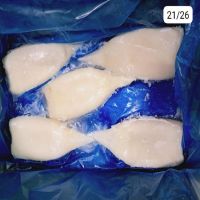 TUBO DE POTA EGUILLEM 5KG.