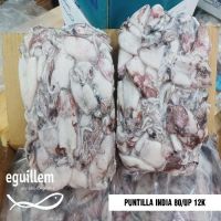 PUNTILLA SIN PLUMA GUILLEM